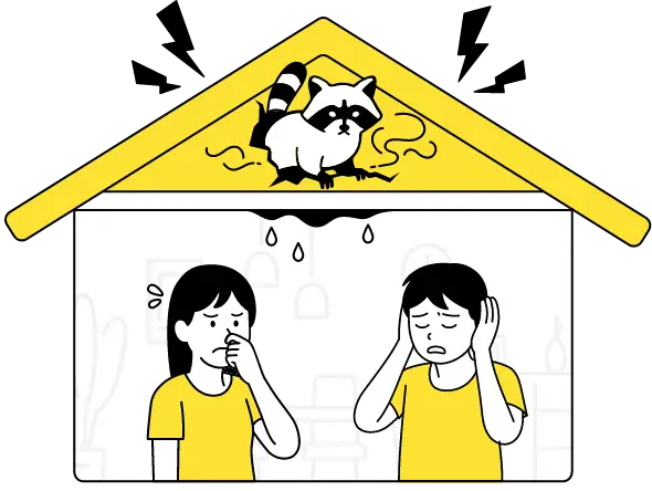 屋根裏のアライグマを追い出したい人達