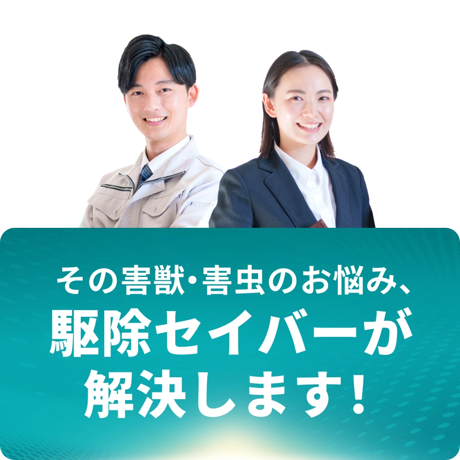 その害獣・害虫のお悩み、駆除セイバーが解決します!