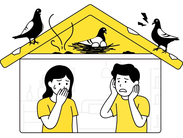 屋根裏の害鳥を追い出したい人達