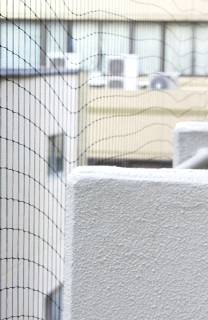 ベランダの害鳥駆除例