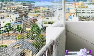 ベランダのハト駆除例