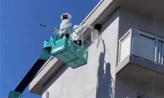 高所の蜂の巣を撤去する害虫駆除業者