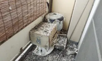 ベランダのムクドリ駆除例