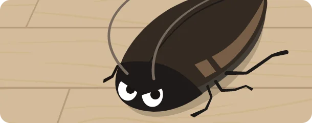 クロゴキブリの危険性