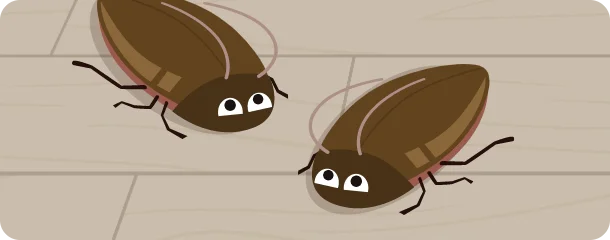 チャバネゴキブリの危険性