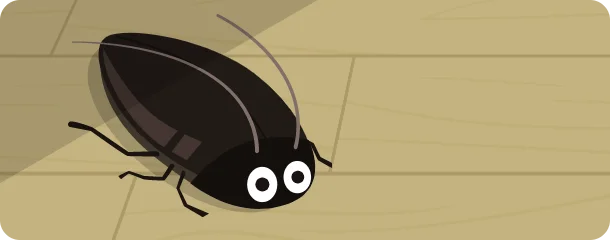 ヤマトゴキブリの危険性