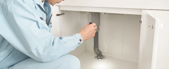 罠でゴキブリを捕獲