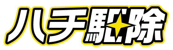 ハチ駆除