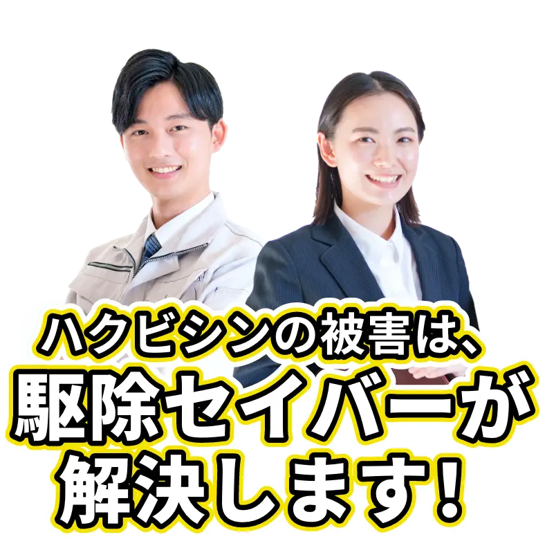 ハクビシンの被害は、駆除セイバーが解決します!
