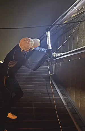 屋根裏のテン・イタチ駆除例