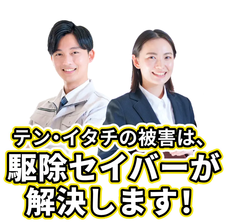 テン・イタチの被害は、駆除セイバーが解決します!