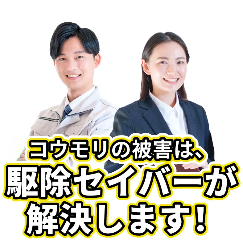 コウモリの被害は、駆除セイバーが解決します!
