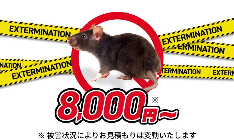 ネズミ駆除8,000円〜