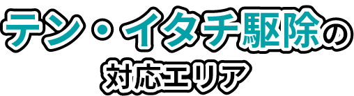 テン・イタチ駆除の対応エリア