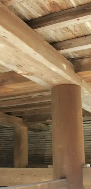 床下のシロアリ駆除事例