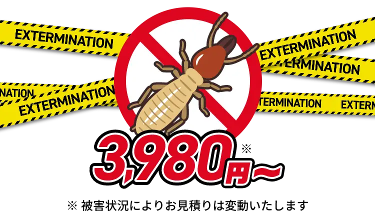 シロアリ駆除3,980円〜