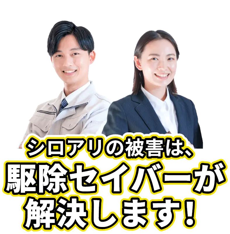 シロアリの被害は、駆除セイバーが解決します!