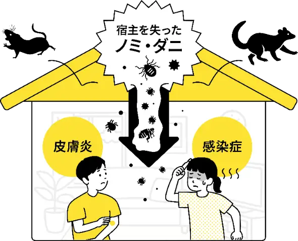 害獣要因で皮膚炎や感染症に
