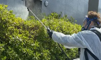 薬剤を散布する駆除業者