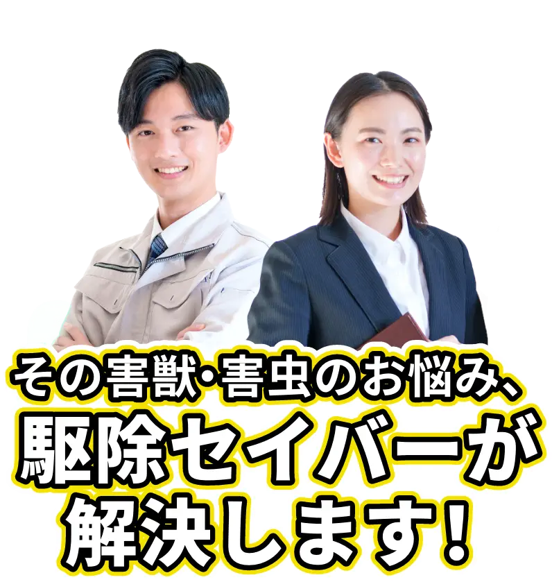 その害獣・害虫のお悩み、駆除セイバーが解決します!