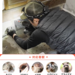 ハウスプロテクトの口コミ評判