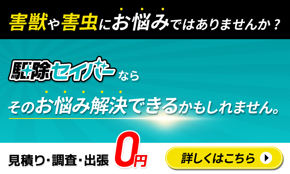 害獣や害虫にお悩みではありませんか？駆除セイバーならそのお悩み解決できるかもしれません。