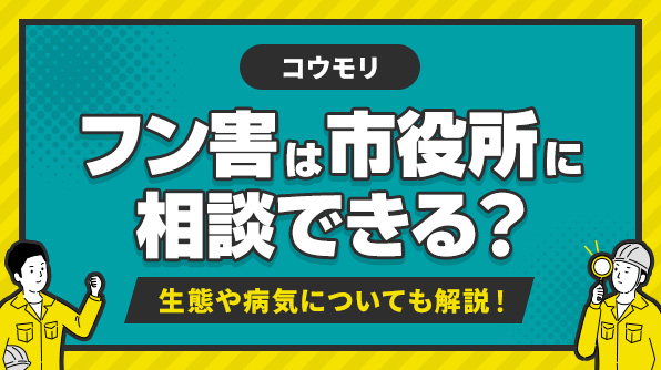 コウモリのフン害は市役所に相談できる?生態や病気も解説