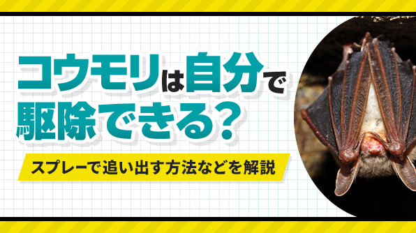 コウモリは自分で駆除できる？スプレーで追い出す方法など解説