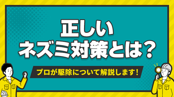 正しいネズミ対策とは？プロが駆除について解説します！