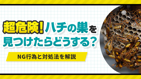 【超危険！】ハチの巣を見つけたらどうする？NG行為と対処法