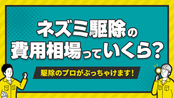 ネズミ駆除の費用相場っていくら？駆除のプロがぶっちゃけます！