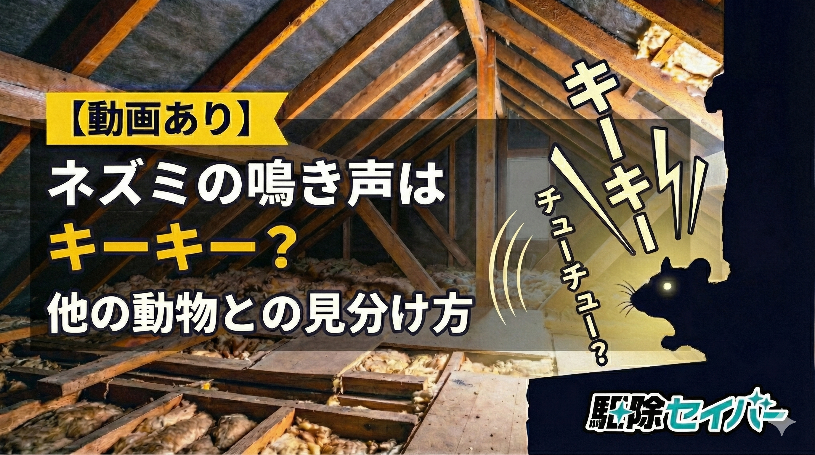 【動画あり】ネズミの鳴き声はキーキー?他の動物との見分け方