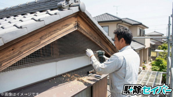 バルサンでアライグマを追い出した後の再発防止策