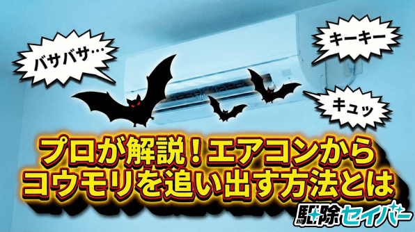 プロが解説！エアコンからコウモリを追い出す方法とは