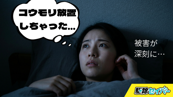 コウモリを放置するリスク