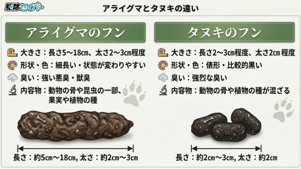 アライグマとタヌキのフンの違い
