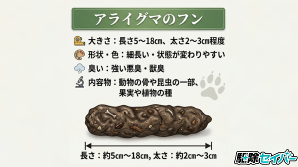 アライグマのフンの特徴