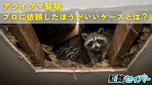 業者にアライグマ駆除を依頼したほうがいいケース