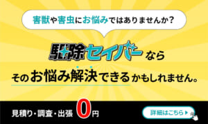 害獣や害虫にお悩みではありませんか？駆除セイバーなら、そのお悩み解決できるかもしれません。見積もり・調査・出張0円　詳細はこちら