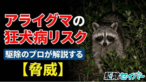 アライグマの狂犬病リスクと脅威について【駆除のプロが解説】