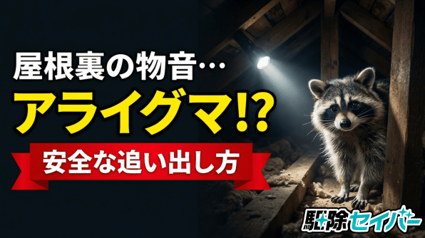 屋根裏から物音が…もしかしてアライグマ？追い出し方を解説