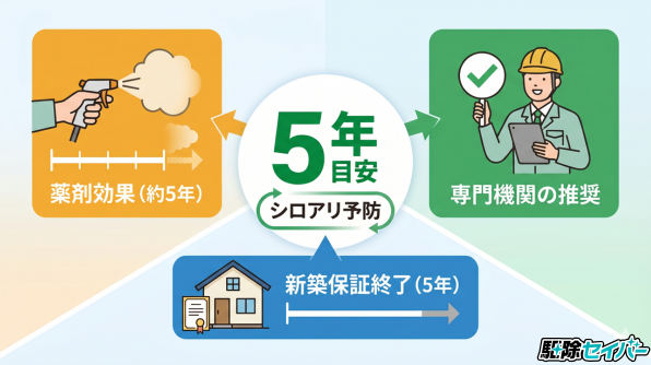 シロアリ予防は「5年ごと」が目安