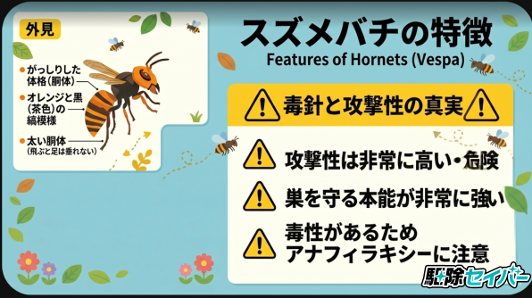 スズメバチは怖いハチ？