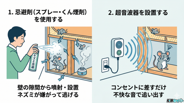 自力でできる！壁の中のネズミを追い出す方法