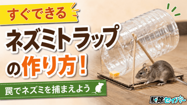 【すぐできる】ネズミトラップの作り方！罠でネズミを捕まえよう