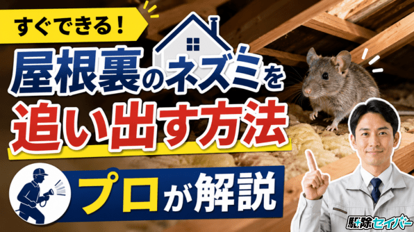 【すぐできる！】屋根裏のネズミを追い出す方法をプロが解説