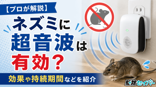 【プロが解説】ネズミに超音波は有効？効果や持続期間などを紹介