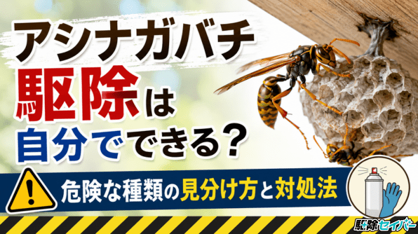 アシナガバチ駆除は自分でできる？危険な種類の見分け方と対処法