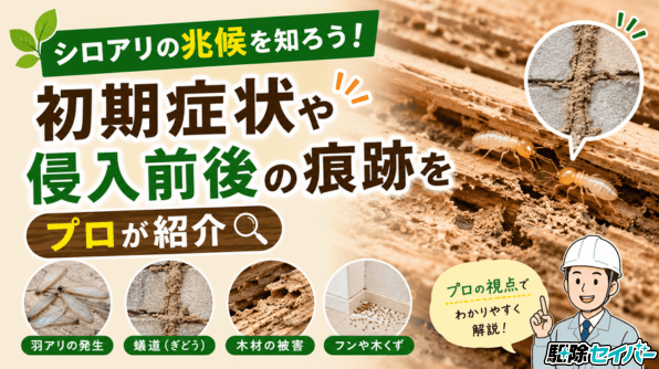 シロアリの兆候を知ろう！初期症状や侵入前後の痕跡をプロが紹介