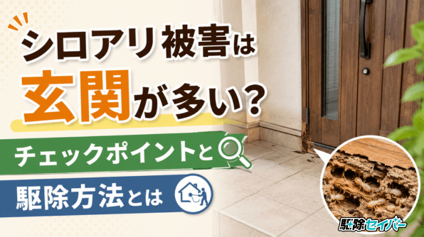 シロアリ被害は玄関が多い？チェックポイントと駆除方法とは